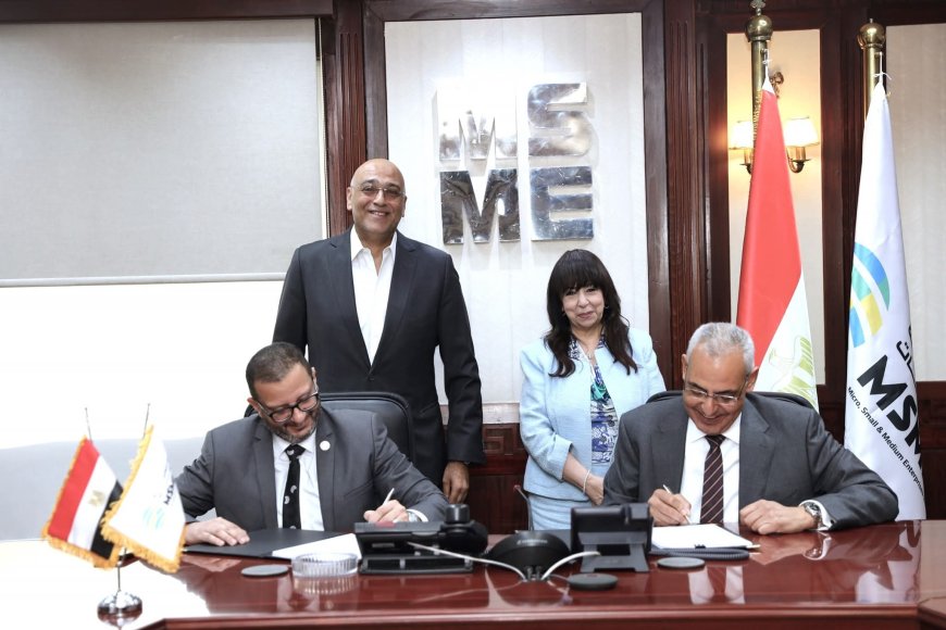 110 مليون جنيه تمويل جديد للصناعات الناشئة في مصر