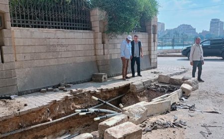 محطة جزيرة الدهب تستعد لمصدر ثالث للتغذية الكهربائية