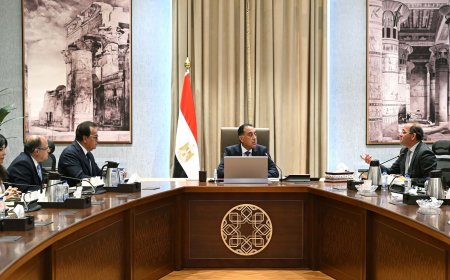 رئيس الوزراء: فرص واعدة لصناعة الدواء المصرية