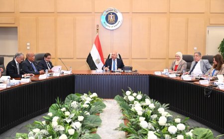 الوزير يبحث مع المصنعين خطط تصنيع صاج السيارات محليًا