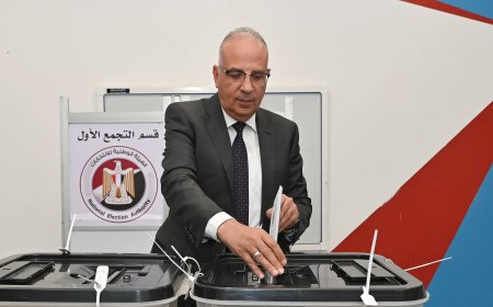 عودة سريعة وتصويت فوري لوزير الري بالشيوخ