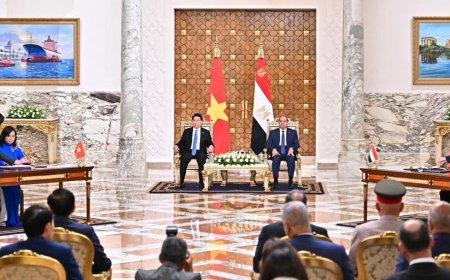 تعاون مصري فيتنامي جديد لدعم الاقتصاد الأخضر