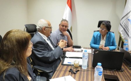 اجتماع وطني لرسم ملامح المرحلة الثانية للاستراتيجية السكانية