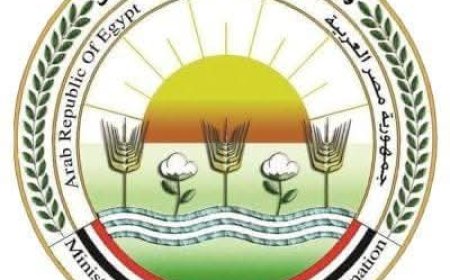 مشروع ضخم لإنتاج شتلات القصب بإدفو يقترب من الانتهاء