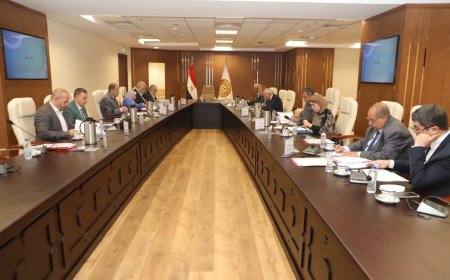 325 مليون جنيه لدعم التدريب المهني منذ التأسيس