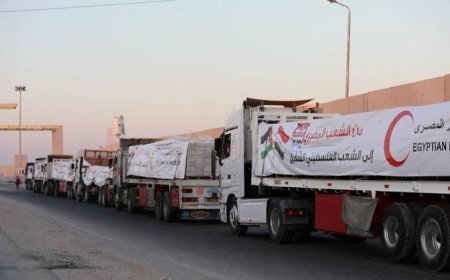 مصر تقدم 70% من مساعدات غزة.. دعم إنساني فعّال يعزز المسار السياسي