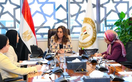 منال عوض تراجع مشروعات البيئة الممولة دوليًا بمصر