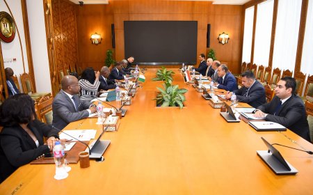 مصر وكوت ديفوار تبحثان تعزيز التعاون في ملفات إقليمية