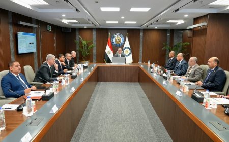 مشروع بتروكيماويات ضخم بالسويس لتعزيز الإنتاج المحلي