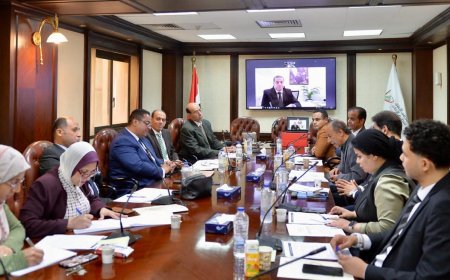 اللجنة الفنية الدائمة لـ "التصدي للشائعات" بـ "الأعلى للإعلام" تعقد اجتماعها الدوري