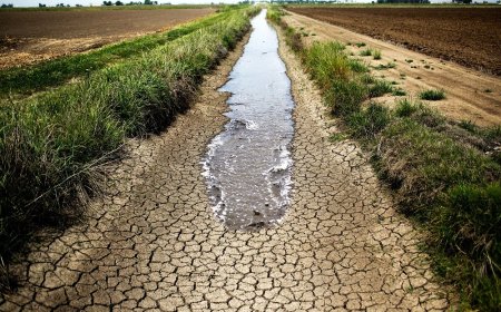 25 دولة أفريقية على أعتاب شح مائي بحلول 2026.. خبراء يحذرون من «حروب المياه»