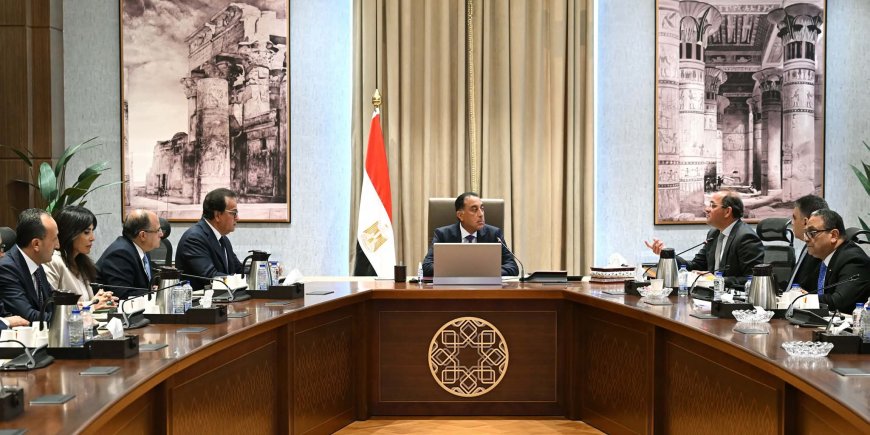 رئيس الوزراء: فرص واعدة لصناعة الدواء المصرية