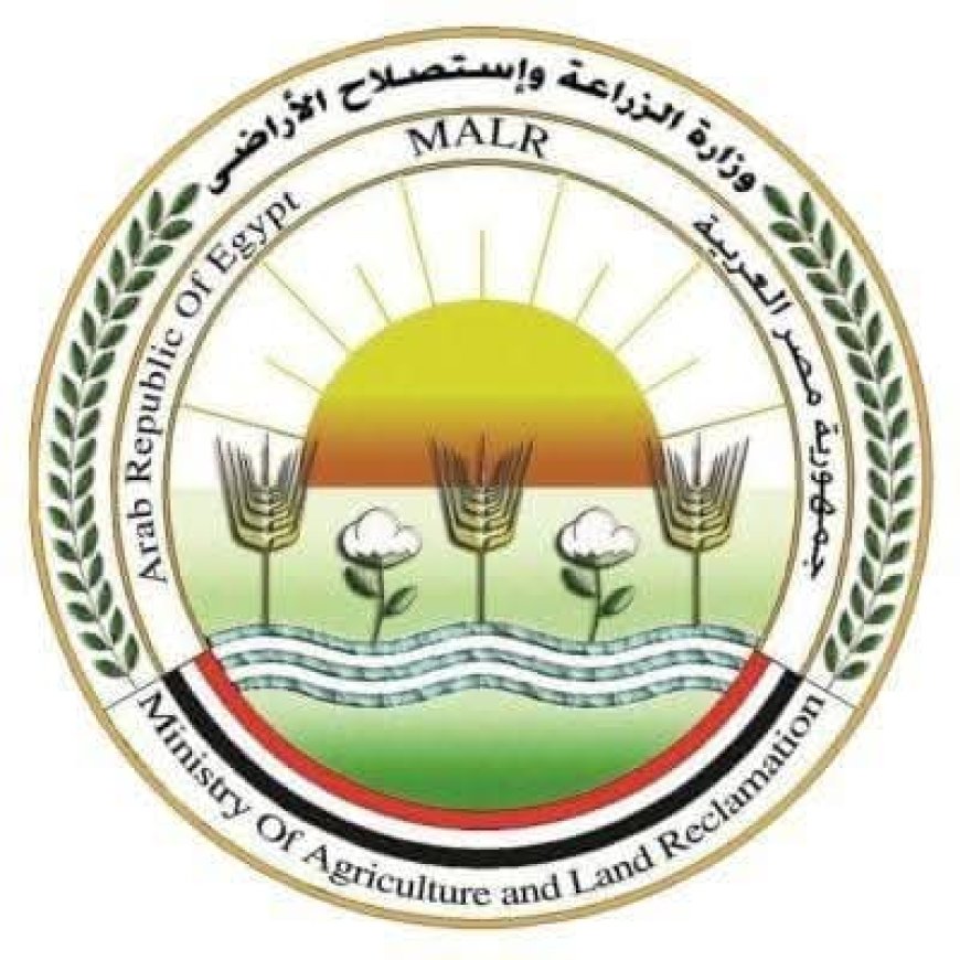 مشروع ضخم لإنتاج شتلات القصب بإدفو يقترب من الانتهاء