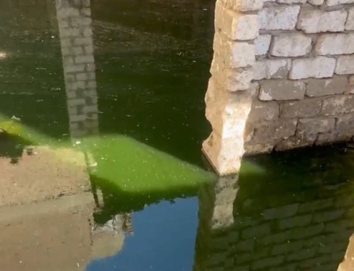 كارثة إنسانية تهدد مئات الأسر في قمن العروس بسبب مياه غامضة تغرق الشوارع والمنازل