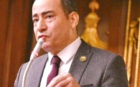 مجاهد نصار: زيارة الرئيس السيسي إلى بروكسل تجسد الثقة الدولية في مصر ودورها الريادي