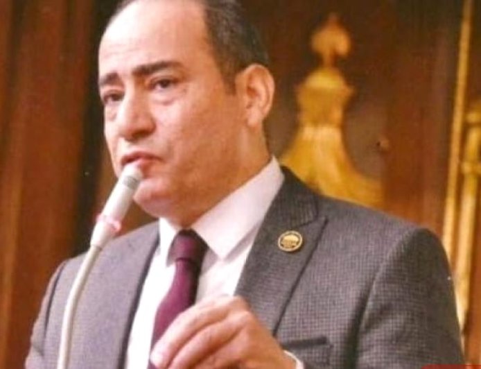 مجاهد نصار: زيارة الرئيس السيسي إلى بروكسل تجسد الثقة الدولية في مصر ودورها الريادي