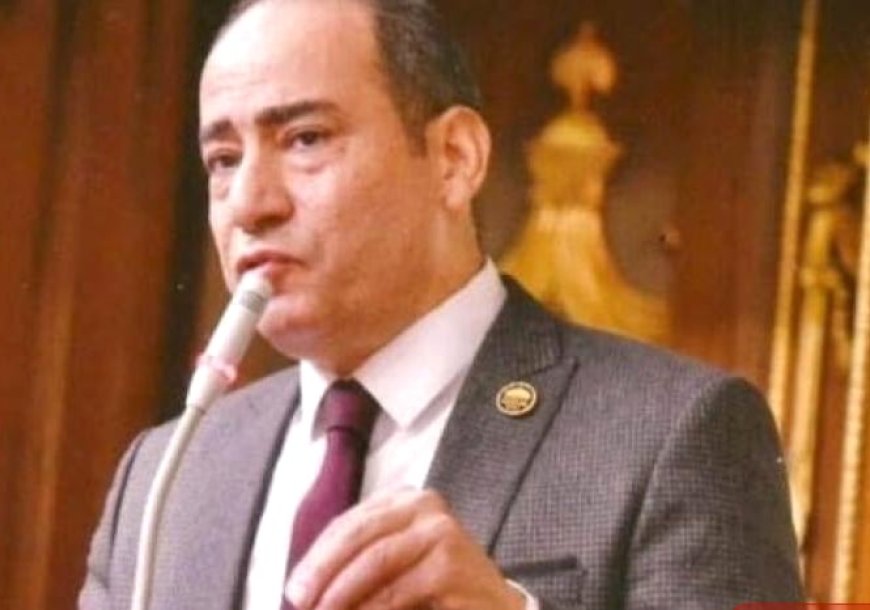 مجاهد نصار: زيارة الرئيس السيسي إلى بروكسل تجسد الثقة الدولية في مصر ودورها الريادي