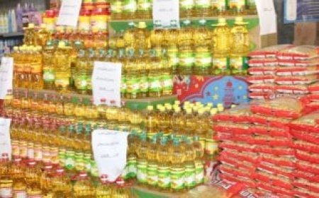 من زيت عباد الشمس إلى اللحوم والبلطي.. كيف تحركت أسعار السلع الاستراتيجية في مصر خلال 2025؟