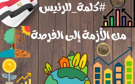 داليا السيد حسين تكتب: تجاوز الأزمات إلى فرص ونجاحات: من كلمات الرئيس عبد الفتاح السيسي