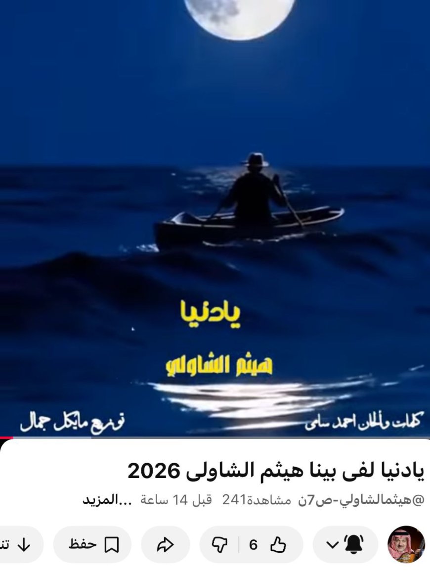 ناصر عبدالحفيظ يكتب : «يا دنيا لفي بينا».. لهيثم الشاولي ترجمه إنسانية لأوجاع الخذلان وبصيص الأمل