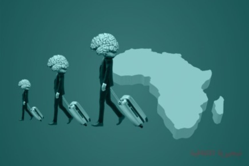 هجرة العقول الرقمية في أفريقيا.. من نزيف الكفاءات إلى تداول استراتيجي للمواهب