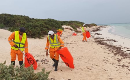 بلدية محافظة البرك تطلق حملة لتنظيف جزر المحافظة تحت شعار «صون الأصول الطبيعية.. التزام يتجاوز المدى»