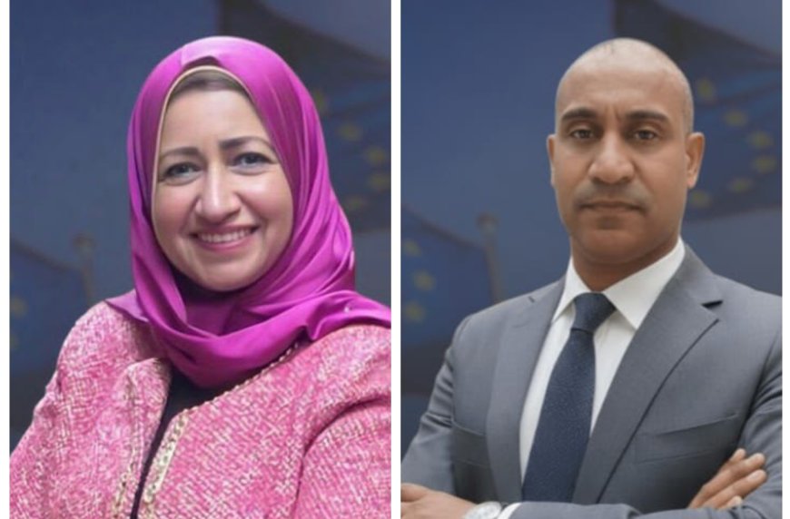 شيرين الشافعي رئيسًا لمجلس الريادة النسائية بالهيئة الدولية للتنمية والتعاون