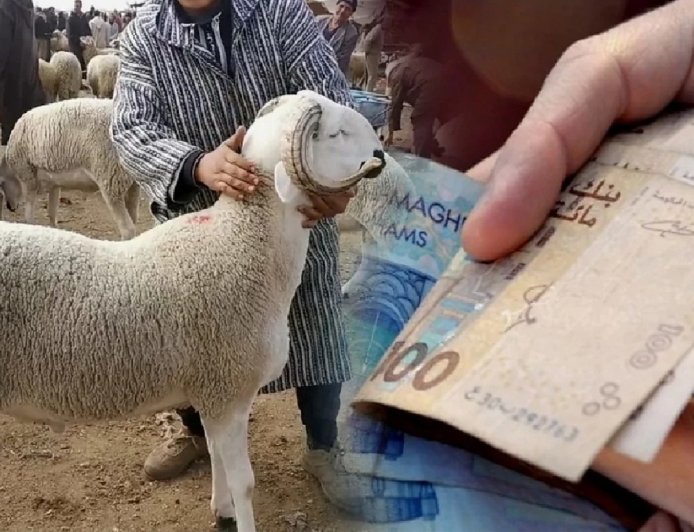 مع انطلاق العد العكسي لموعد عيد الاضحى ، هذه قراءات المغاربة و توقعاتهم لاسعار الاضاحي خلال الايام القادمة