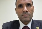 د. حمداوي بكري أبوحبيب يكتب: تأملات مضيئة عن الأمن الغذائي في مصر