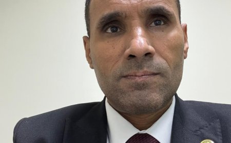 د. حمداوي بكري أبوحبيب يكتب: تأملات مضيئة عن الأمن الغذائي في مصر